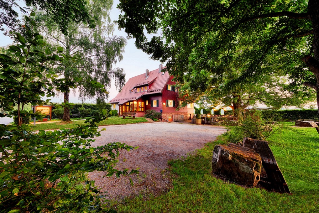 Blick durch Bäume auf ein Haus, das beleuchtet ist