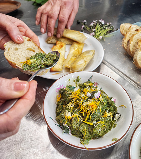 Vogelmiere-Pesto beim Wildkräuter-Spaziergang im Teinachtal